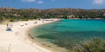 Holiday Hints & Tips