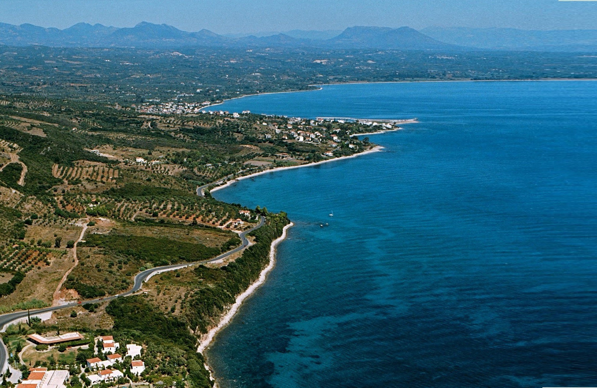Petalidi