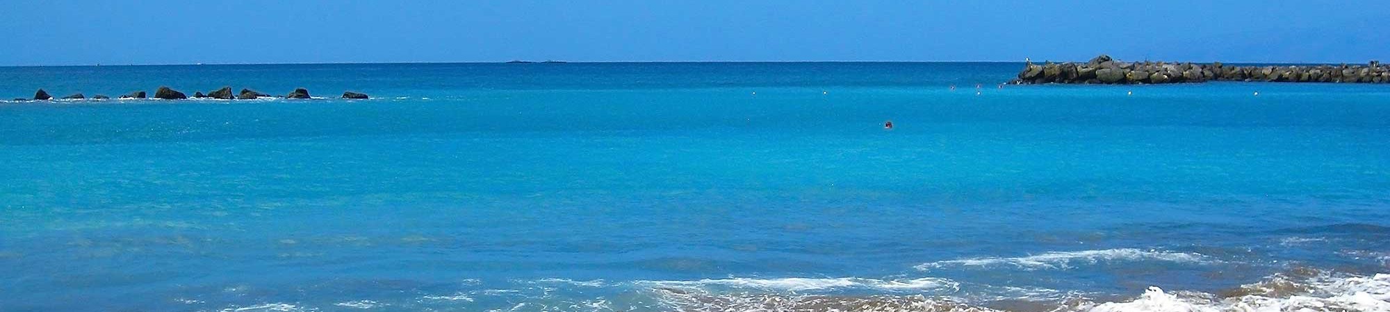 Playa de las Americas