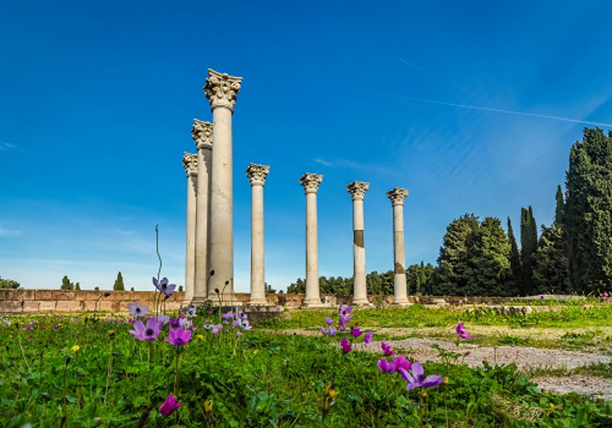 Sightseeing In Kos