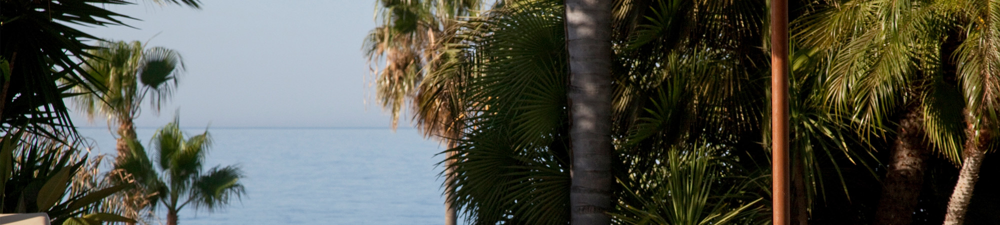 Weddings in Limassol