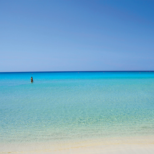 wedding destinationbanner.jpg