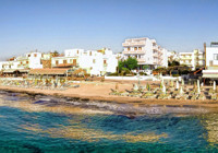 Silver beach_Frond.jpgfeb2019.jpgresize.jpg