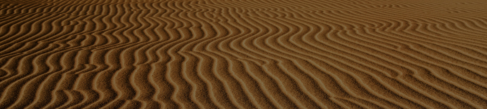 Take a 4x4 journey into the wild