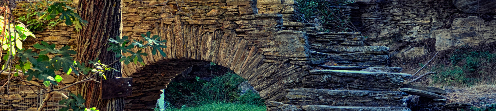 Hiking trails in Andros