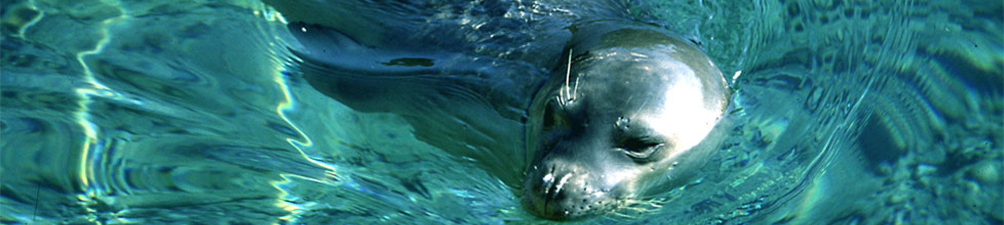 National Marine Park