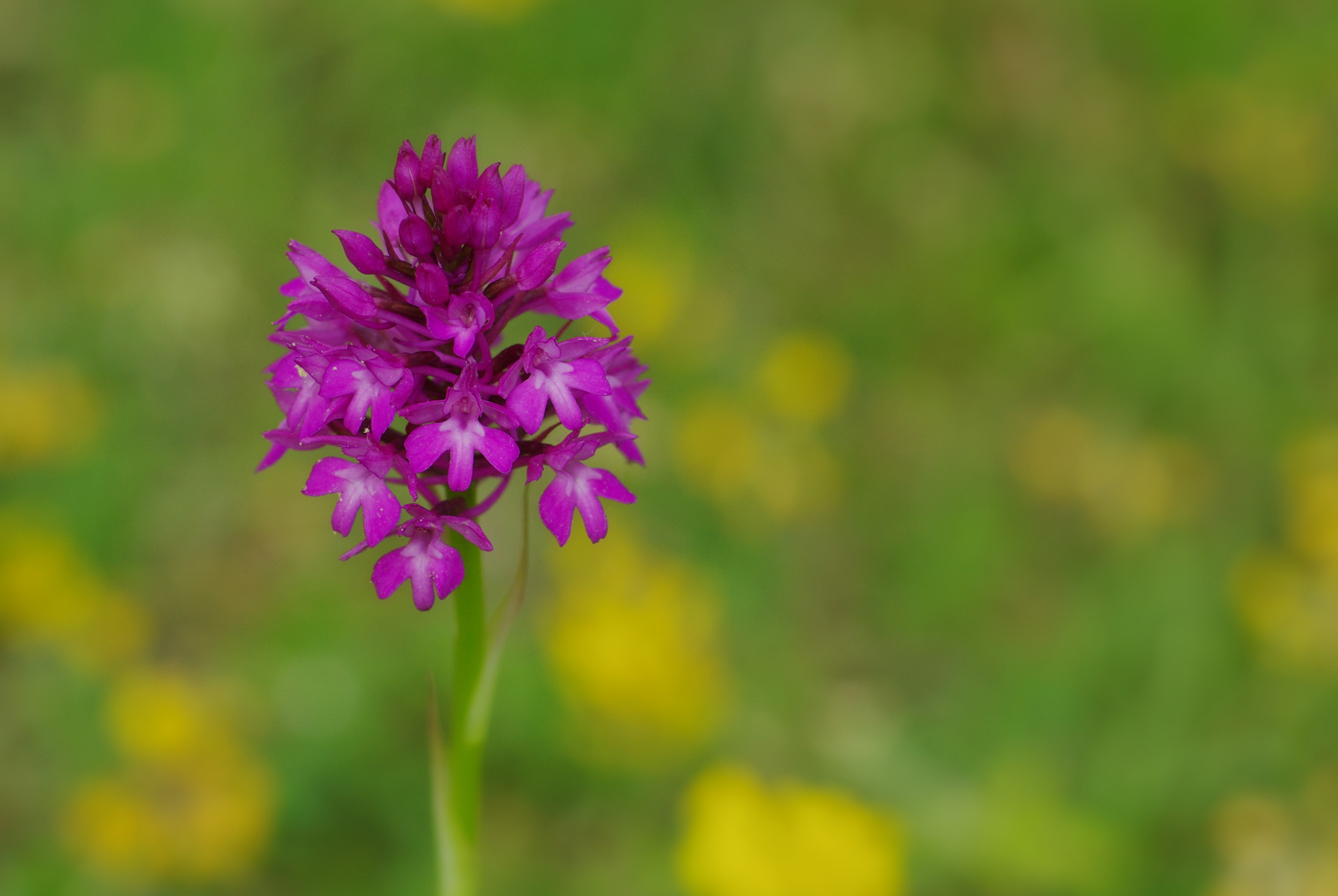 Shutterstock 1636659214