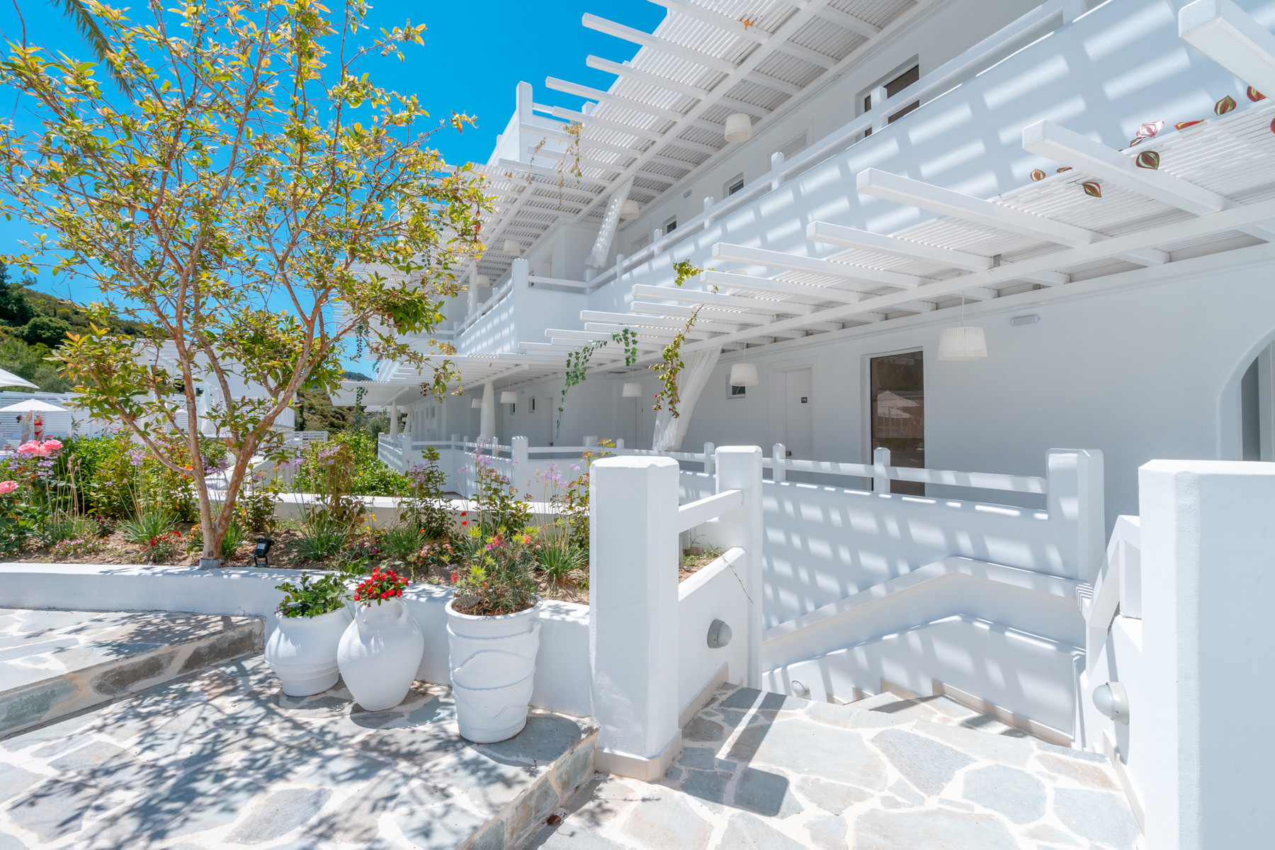 Aloe Hotel In Rhodes | Olympic Holidays
