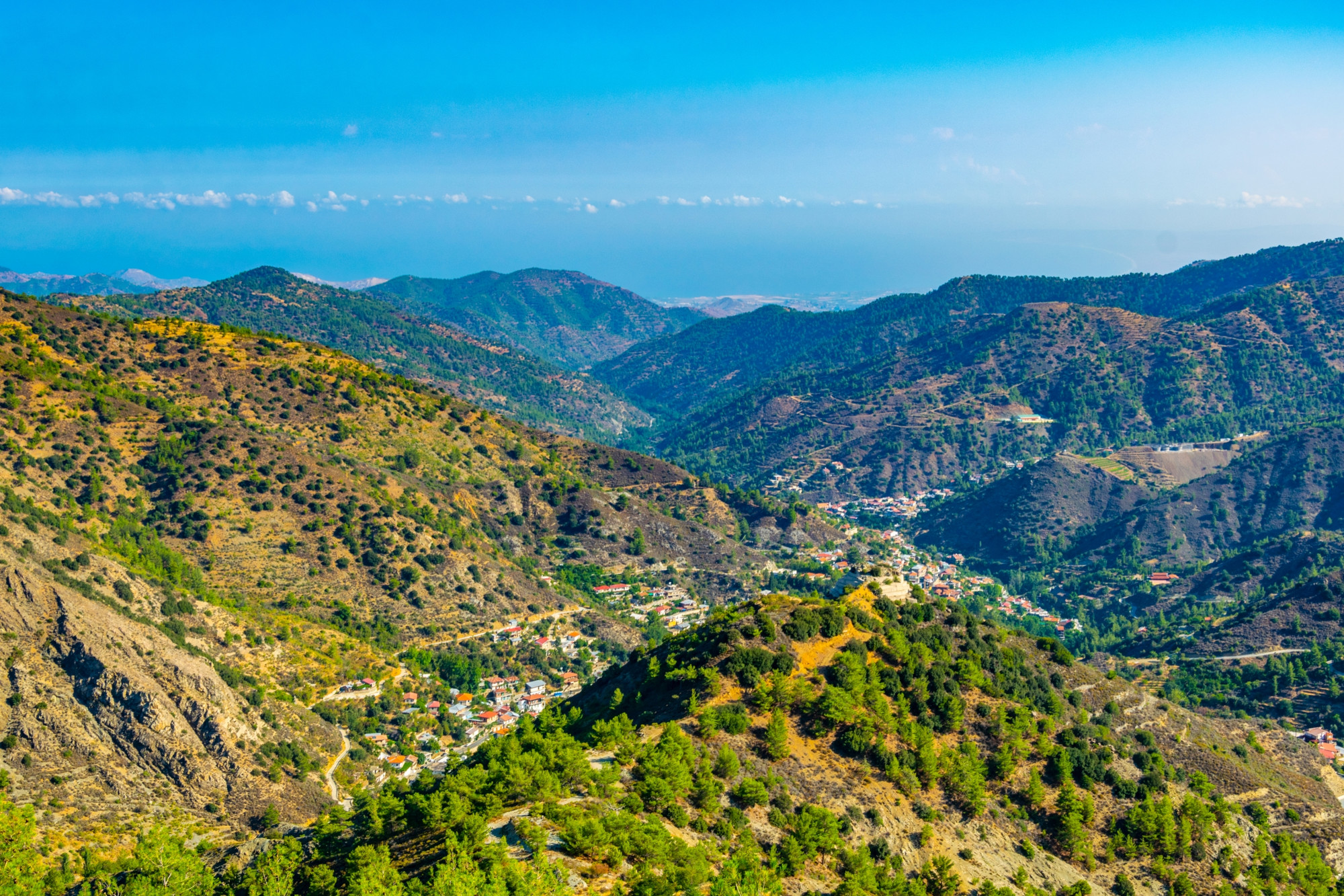 Shutterstock 1280821426