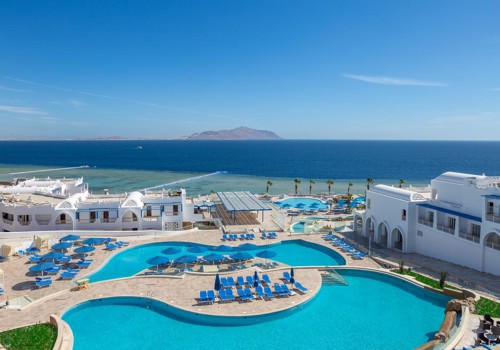 Albatros Palace Sharm Families And Couples Only 15978115825