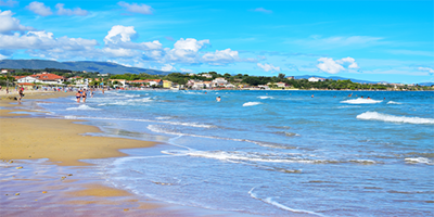 Holiday Hints & Tips