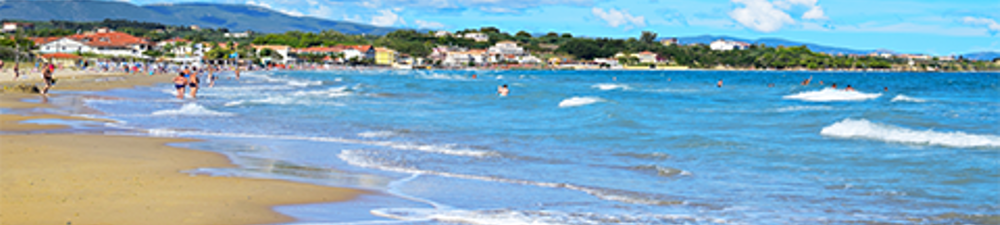 Holiday Hints &amp; Tips