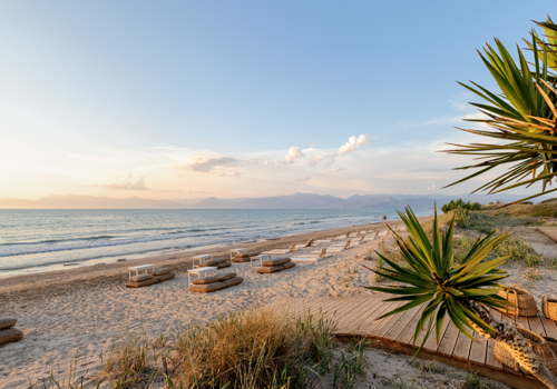 Lux Me Costa Botanica