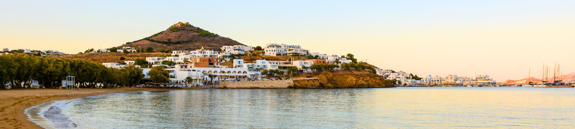 Holiday Hints &amp; Tips