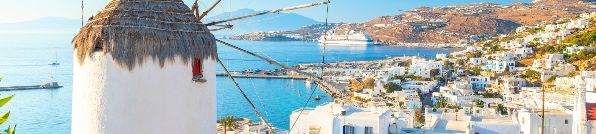 Holiday Hints &amp; Tips